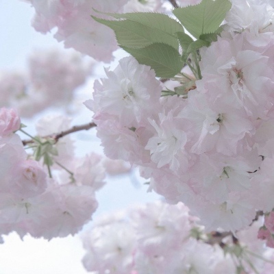 沽源FurryQQ群介绍